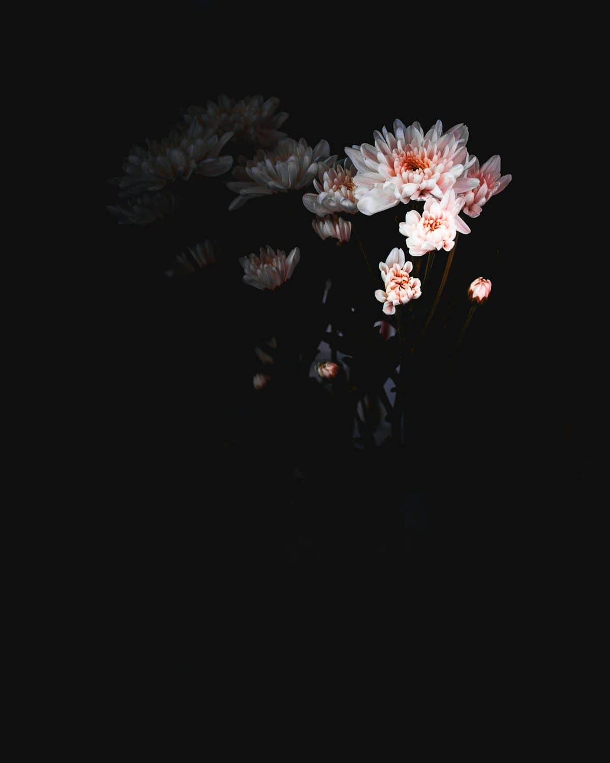 Bouquet de fleurs sur fond noir